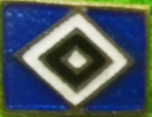 Raute (0.8 x 0,6 cm) Nadel