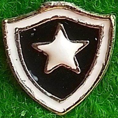 Botafogo de Futbol e Regatas (Rio de Janeiro)