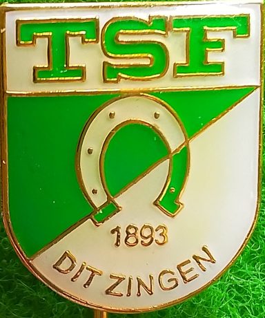 TSF 1893 Ditzingen