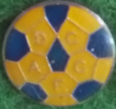 Dunedin City AFC
