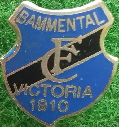 FC Viktoria 1910 Bammental