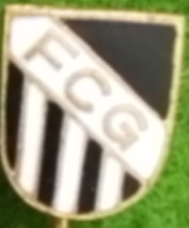 FC 1921 Gärtringen