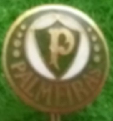 SE Palmeiras Sao Paulo (Sao Paulo)