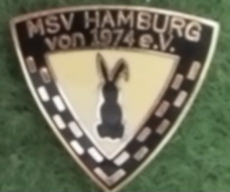 MSV 1974 Hamburg