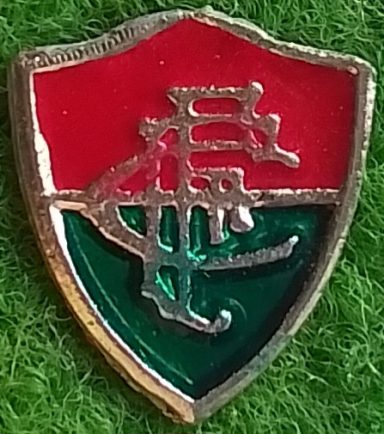 Fluminense FC Rio de Janeiro (Rio de Janeiro)