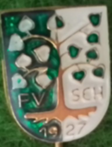 FA\TuS Schutterwald
